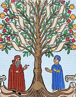 Blessed: Llull, Ramon (1233/1235-1315/1316). Majorcan writer and phi