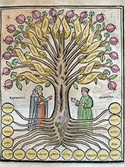 Blessed: Llull, Ramon (1233/1235-1315/1316). Majorcan writer and phi