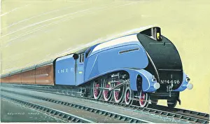 Mayes: LNER Streamlined Pacific Class No. 4496 Dwight D Eisenhower