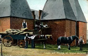 Hops: Load of Hops at Oast House, Kent