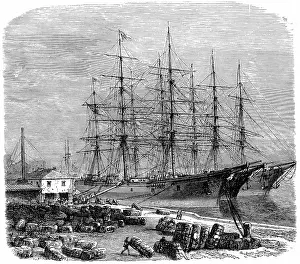 Levee: Loading bales of cotton for export, Savannah