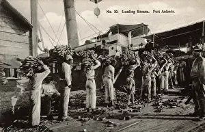 Exporting: Loading Bananas - Port Antonio, Jamaica