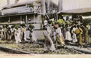 Exporting: Loading Bananas onto a ship - Kingston, Jamaica
