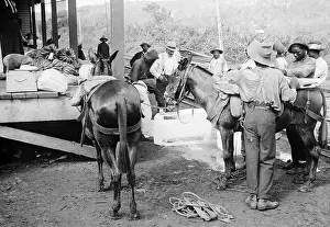 Culebra: Loading beef and ice at Culebra Railway Station in Panama