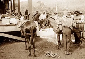 Culebra: Loading beef and ice at Culebra Railway Station in Panama