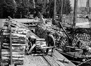 Convey: Loading of birchwood for the prouction of vesta