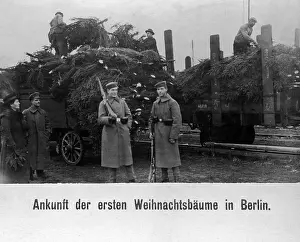 Interwar: Loading of Christmas trees at a Berlin train station, 1918
