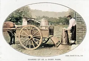 Churns: LOADING CHURNS AT FARM