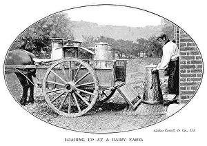 Churns: LOADING CHURNS AT FARM