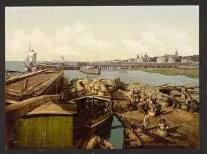 Kola: Loading codfish, Archangel, Kola Peninsula, Russia