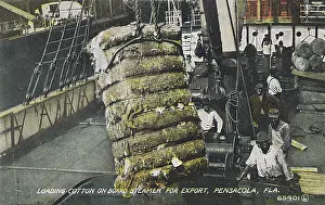 Pensacola: Loading cotton, Pensacola, Florida, USA