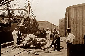 Brisbane: Loading frozen beef for export, Brisbane, Australia