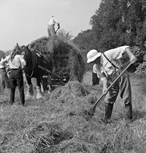 Ferrers: Loading hay