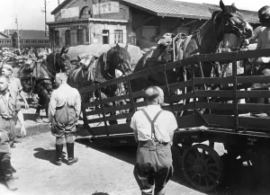 Ramp: Loading of horses, 1939