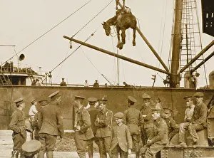 Boulogne: Loading horses at Boulogne