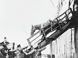 Embarkation: Loading horses, World War I