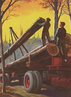 Lumber: Loading Lumber