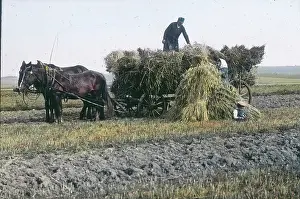 Sheaves: Loading the sheaves