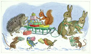 Loading Up the Sledge - hedgehog, squirrel etc