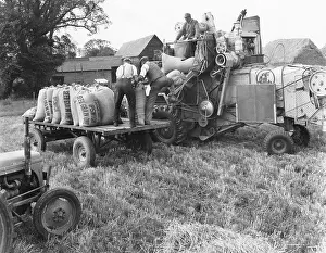 Conveying: LOADING THRESHED BARLEY