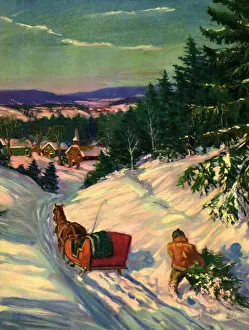 Dragging: Loading Tree on Sleigh
