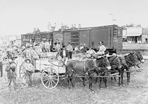 Watermelons: Loading of watermelons for the railway transport