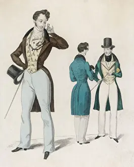 Flamboyant: L'Observateur 1835