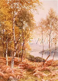 Birches: LOCH ACHRAY/BIRCHES 1904