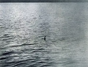 LOCH NESS MONSTER