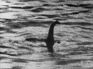 Cryptid: Loch Ness Monster