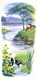 Caley: Loch scene with moorhens and horses