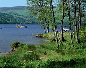 Lochs: Loch Tay, Perthshire