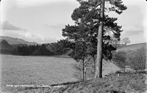 Loch: Loch Vennachar, Callander