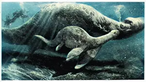 LOCHNESS MONSTER