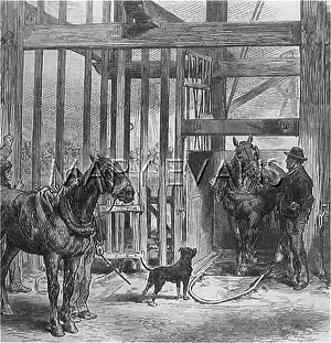 Harmed: Lock-out South Wales 1875