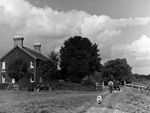 Hassocks: LOCKS GREEN FARM
