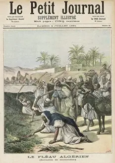 Swarm: LOCUST PLAGUE ALGERIA