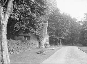 Martens: Lodge to Martens Road, Stephen Road