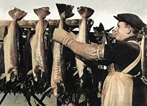 %mei: The Lofoten Islands, Norway, 1941