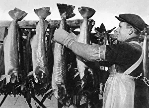 %mei: The Lofoten Islands, Norway, 1941