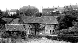 Loftus: Loftus, Loftus Mill c1955