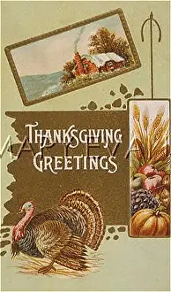 Symbolise: LOG CABIN, TURKEY ETC