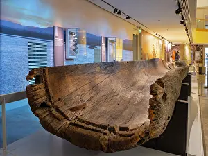 Hollowed: Logboat, Perth Museum, Perth, Scotland