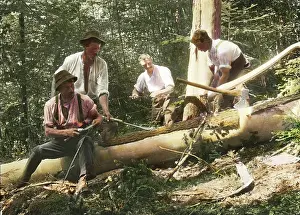 Lumberjack: Loggers
