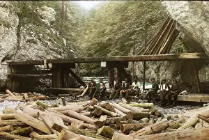Lumberjack: Loggers at the valley