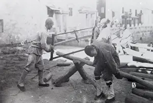 Sawing: Loggers at work in the Far East