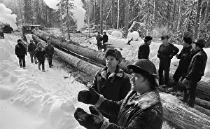 Tomsk: Logging