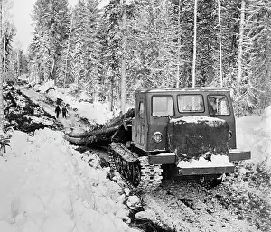 Tomsk: Logging