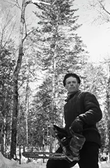 Cuts: Logging