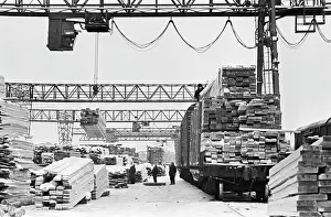 Integrated: Logging Company